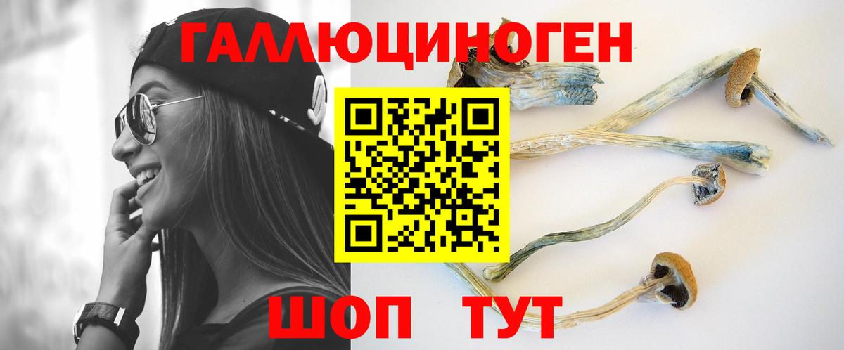 Галлюциногенные грибы Psilocybine cubensis Богданович